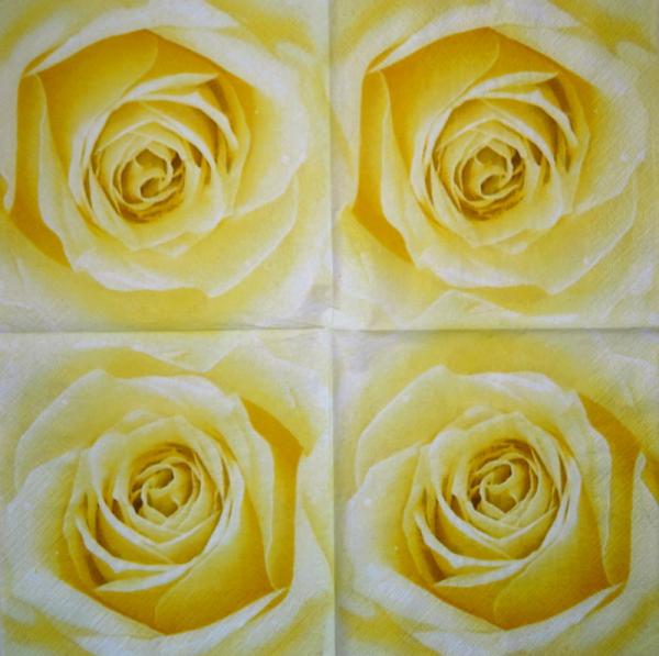 029 Rosen - 3-lagig (blau)